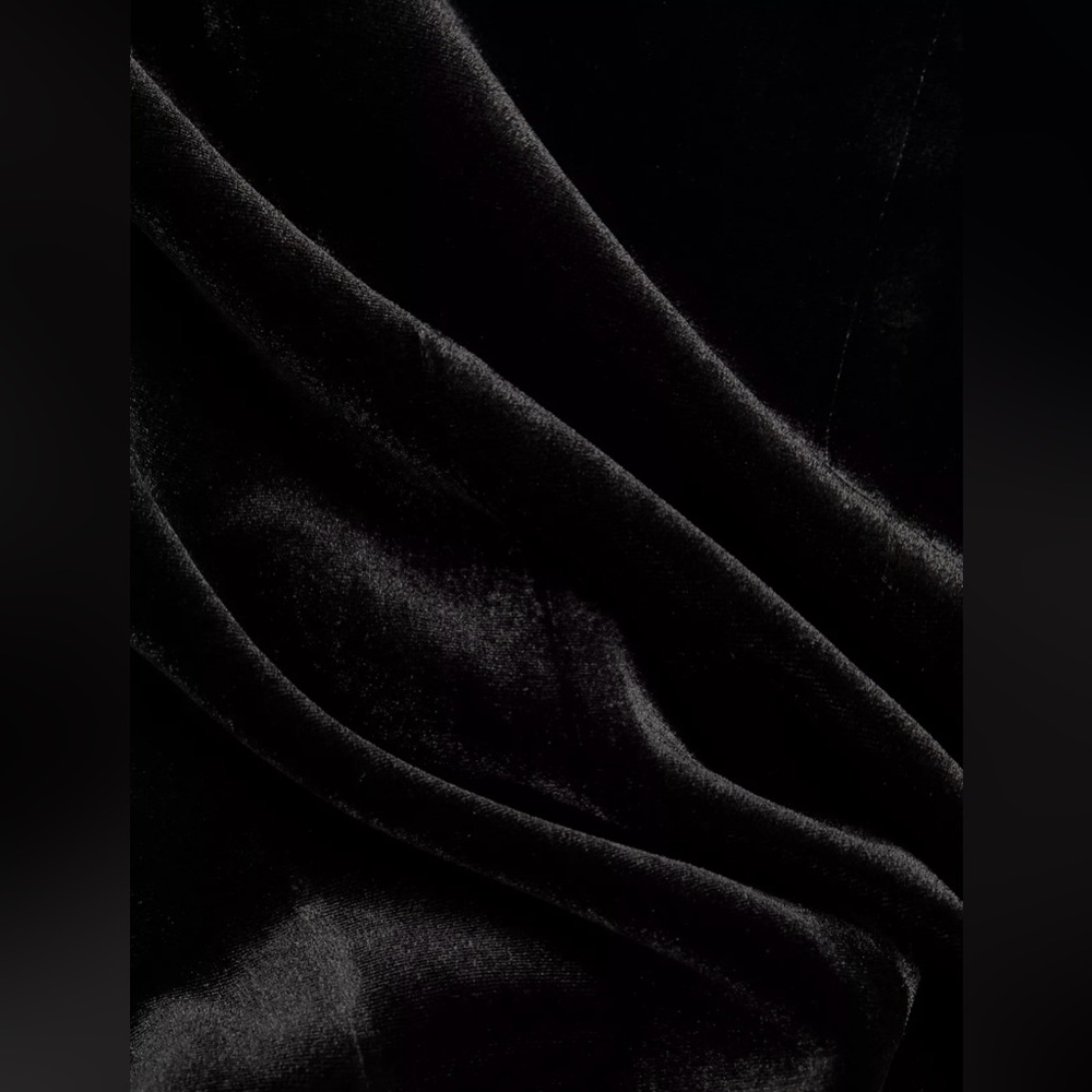 Elie Tahari Velvet Blazer - Picture 6 of 10